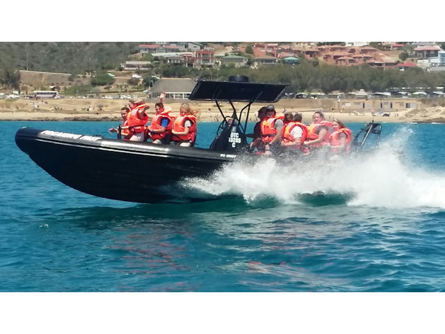 Fearless Speedboat