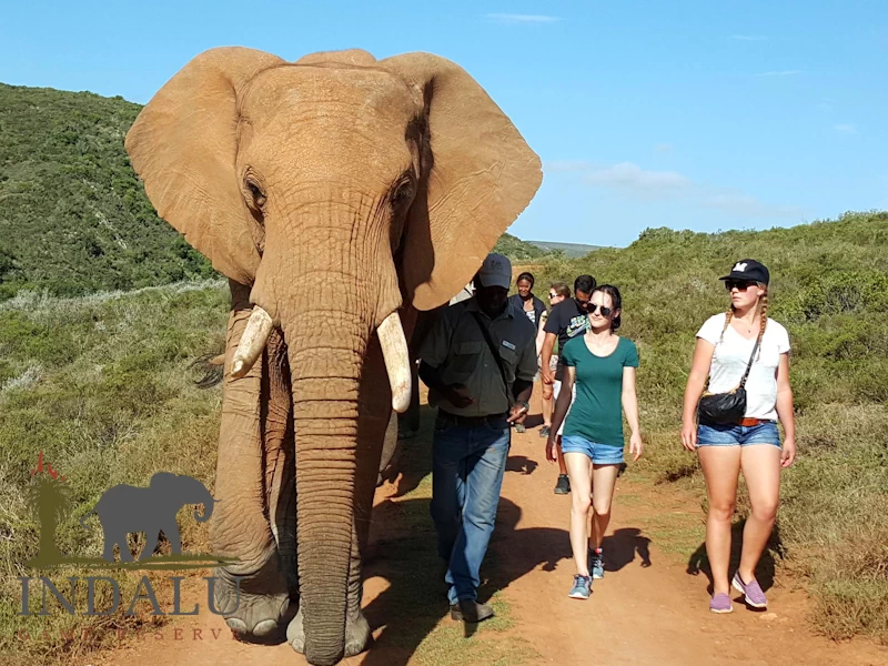 Indalu Game Reserve