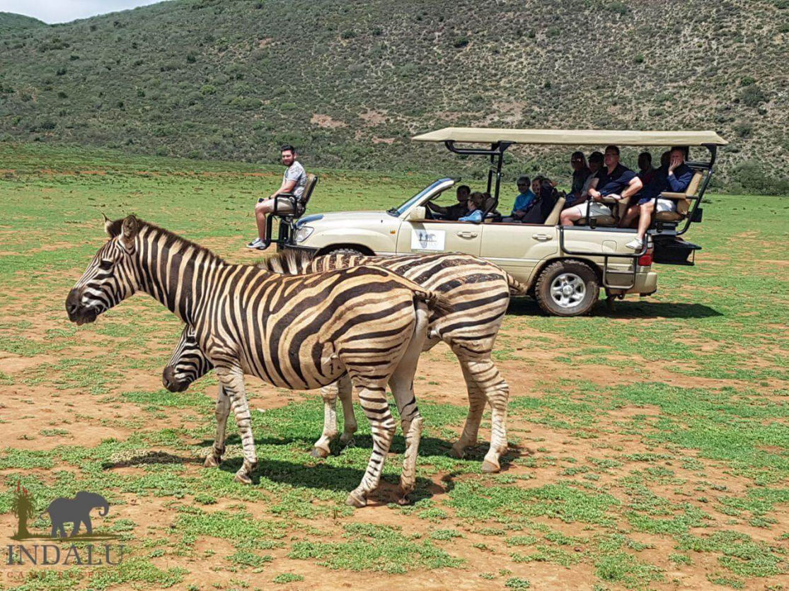 Indalu Game Reserve