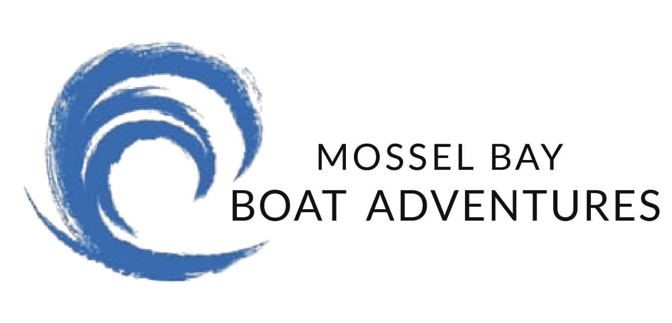 Mossel Bay Boat Adventures