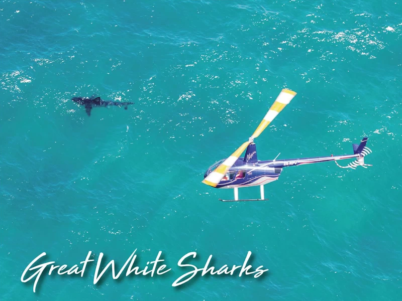 Mossel Bay Helicopters