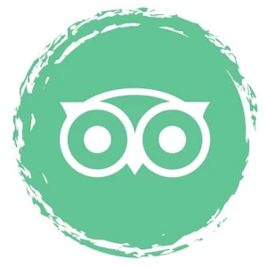 Review Freaking Fast Wave Rider on TripAdvisor